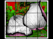 Gilbert & George ROSEMANCE, 2019 Mixed media
226 × 263 cm
89 × 103 1/2 inches
© Gilbert & George
Courtesy the artists and Sprüth Magers