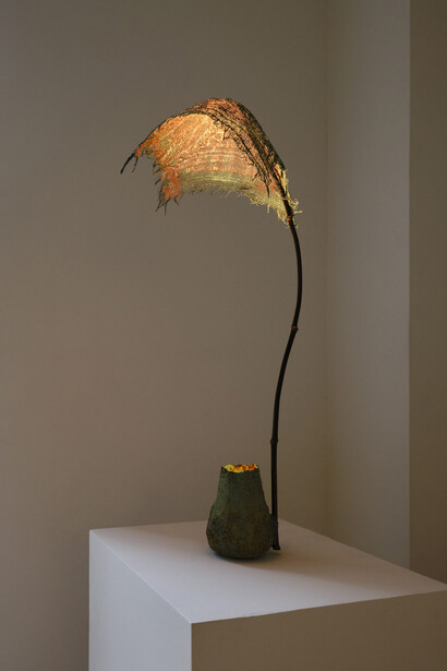 Aki+Arnaud Cooren, Under the reef, exhibition view. Courtesy of Carpenters Workshop Gallery