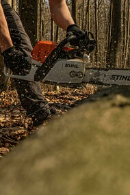 A close-up of a chainsaw cutting through a tree trunk in the forest