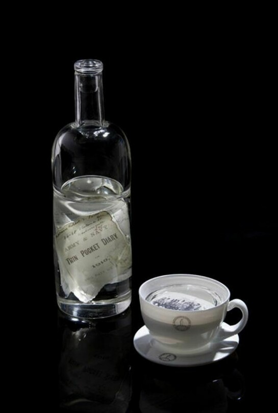 James Maskrey, Terra Nova Pocket Diary & The Shore Part, 2013