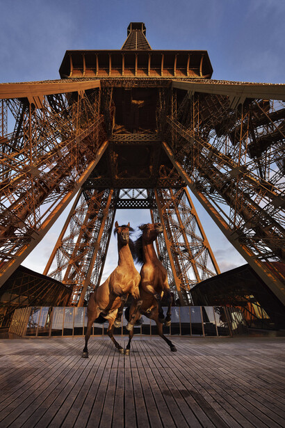 Paola Pivi, "Yee-Haw", 2015, Digital Print mounted on dibond and diasec. Photography by
Hugo Glendinning / Photogaphie digitale montée sur dibond et diasec. Photographie par Hugo Glendinning, 219 x 180 cm / 86 1/4 x 70 3/4 in, Courtesy Galerie Perrotin