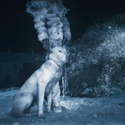 Mohamed Bourouissa, Genealogy of violence (video still), 2024. Courtesy of Turku Art Museum