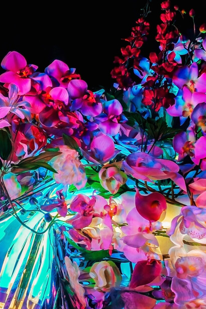 Signe Pierce. Courtesy of Annka Kultys Gallery