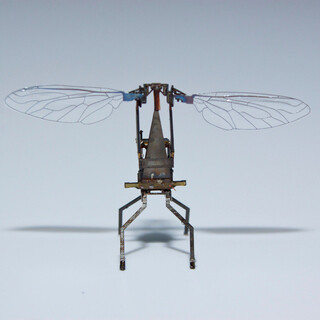 Wyss Institute Selects. Courtesy of Cooper Hewitt