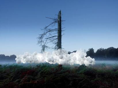 Charles Petillon, Scolytes (large), 2024. Courtesy of Danysz Gallery