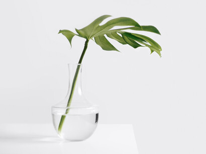 Davanti alla gestione della pandemia, si parla moltissimo del vaccino, un po’ meno si insiste sul cambio di stile di vita 