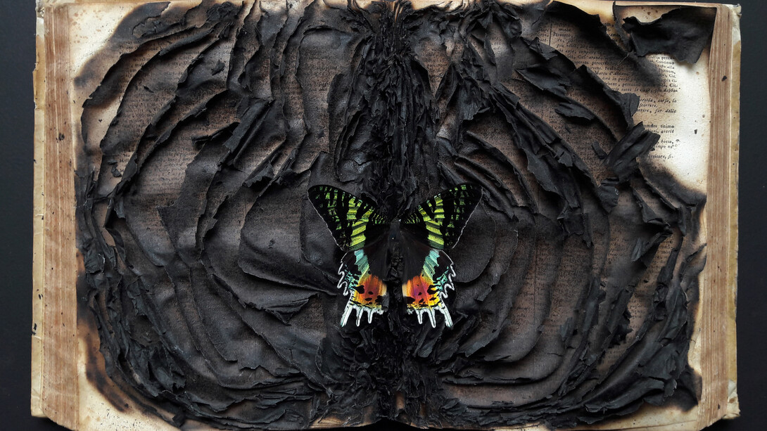 Enrique Moya Gonzalez. Courtesy of Galleria D'Arte Triphè