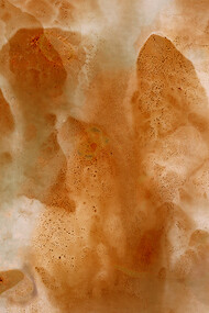 Christelle Boulé, Terre. Photogramme original, 12x15 cm.