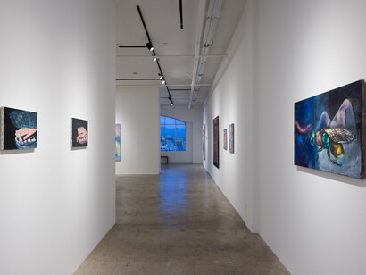 Margarete Hahner, Heimlich, installation view, Track 16 Gallery, Los Angeles. Courtesy of the artist and Track 16 Gallery