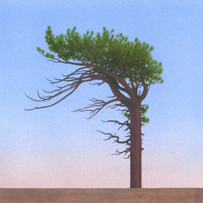 Greg Rose, 34°21.519’N 117°46°934’W, 2025. Courtesy of CMAY Gallery