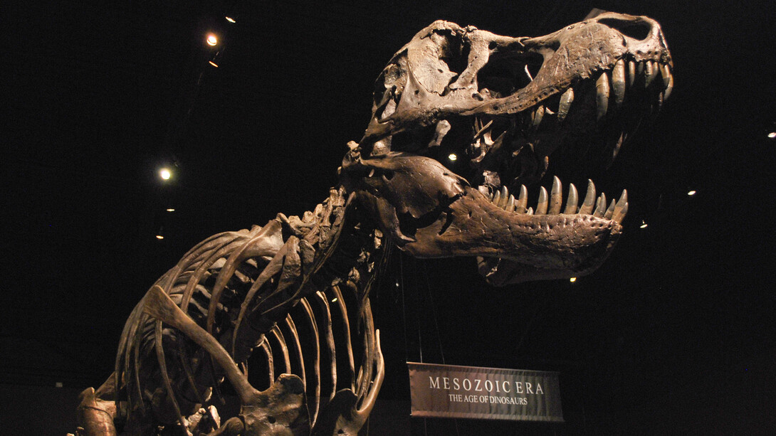 Fossil Gallery. Courtesy of Tellus Science Museum