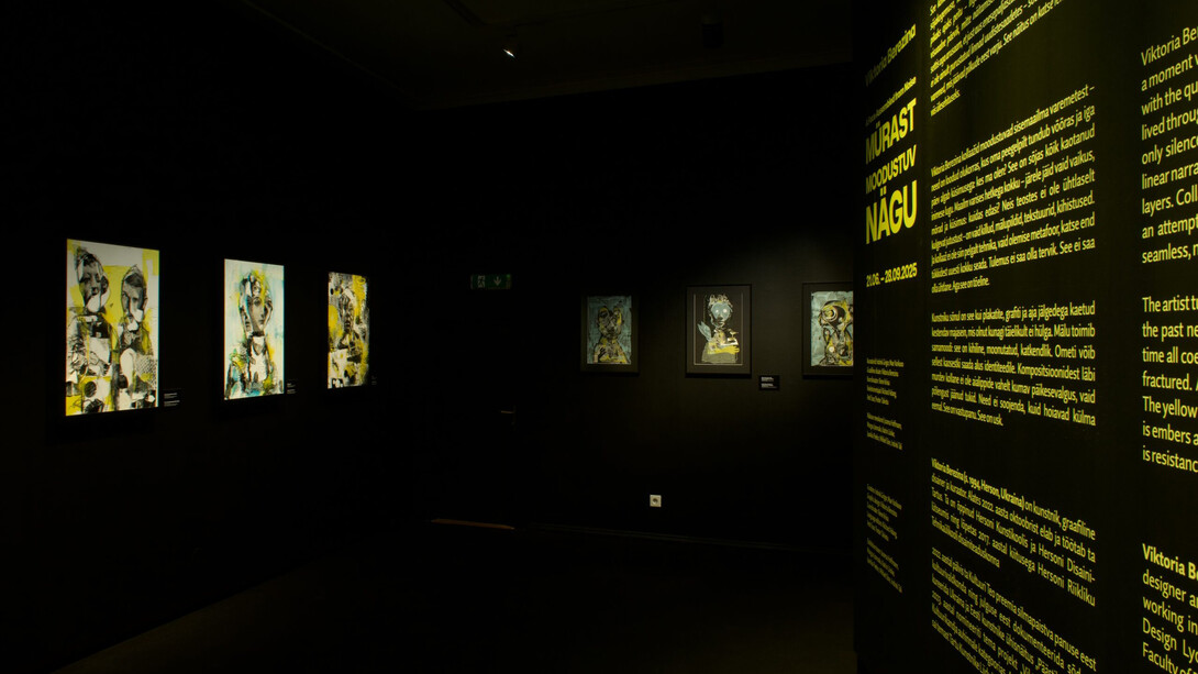 Viktoria Berezina, A face assembled from noise, exhibition view. Courtesy of Tartu Art Museum