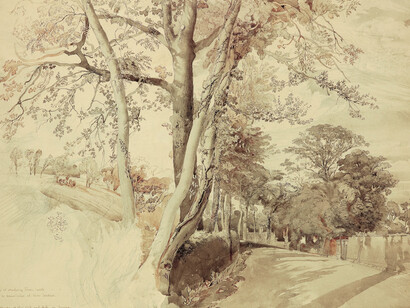 Trees in a Lane, perhaps at Ambleside, 1847. John Ruskin (1819 – 1900). Pencil, black and brown ink, and ink wash, 17 5/8 x 22 5/8 inches. Ruskin Foundation (Ruskin Library, Lancaster University) (RF 1559).