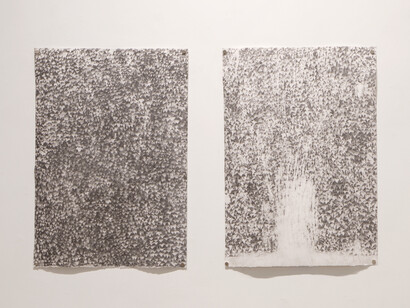 Various artists, Overgrowth, exhibition view. Courtesy of Erin Cluley Gallery