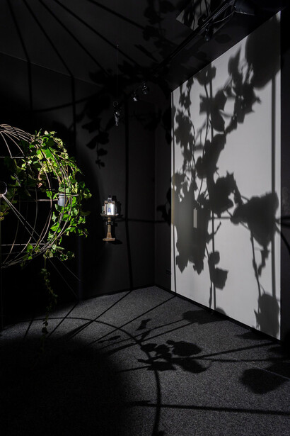 Péter Tamás Halász, planƎt, exhibition view. Courtesy of acb Gallery