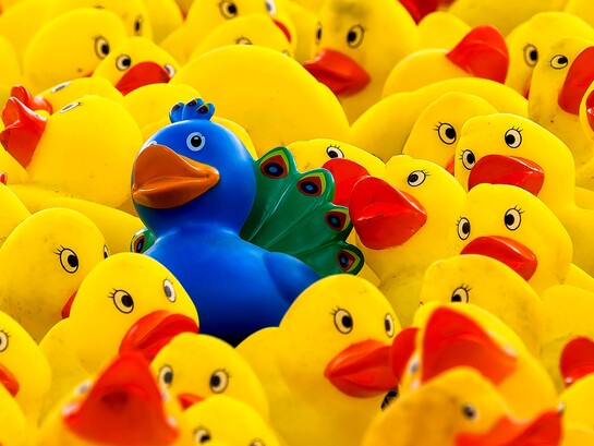 Rallentare, selezionare e riflettere prima di condividere può trasformare la nostra presenza digitale in qualcosa di più autentico e significativo