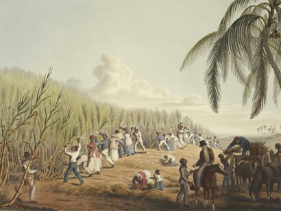 Slaves working on plantations