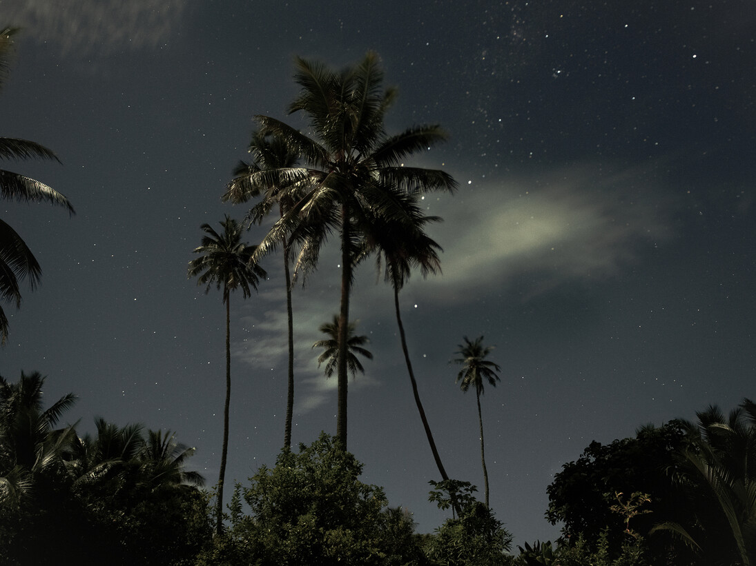 Alistair Taylor-Young, Moonlight © Alistair Taylor-Young 