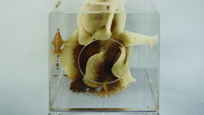 Accidents. Courtesy of Pearl Lam Galleries