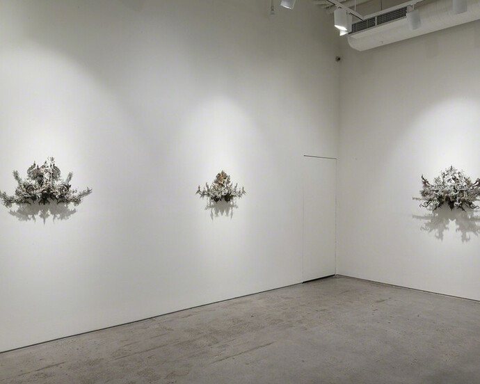 Hallucinatory Enhancements. Courtesy of Joshua Liner Gallery