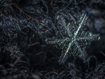 Fiocco di neve