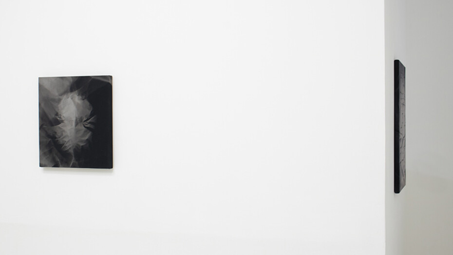 Without The Sun I Fall Silent. Courtesy of Halsey McKay Gallery