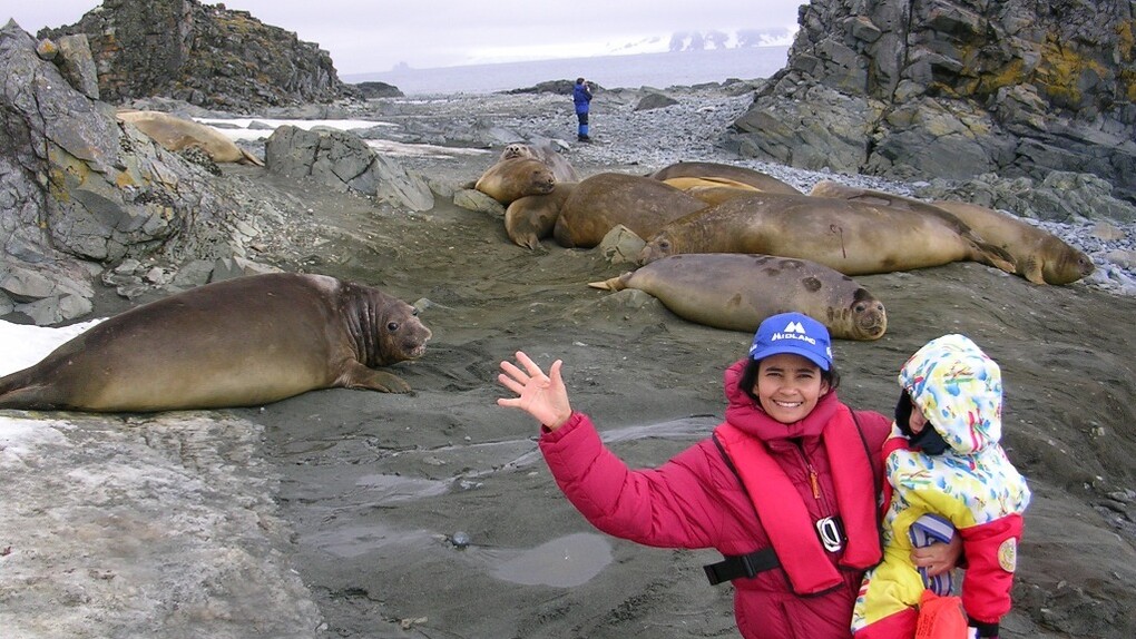 In Antartide con i leoni marini