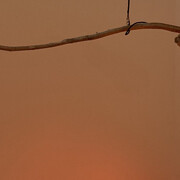 Lit. Courtesy of The Bass