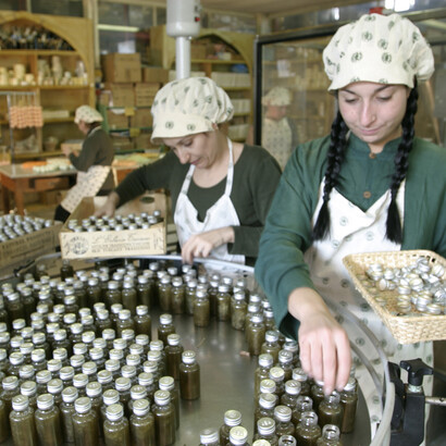 Perfume Factory of Erbario Toscano