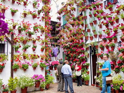 Patio cordobés lleno de flores y macetas