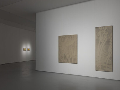 Symbiotic friend, exhibition view. Courtesy of Hive Center for Contemporary Art