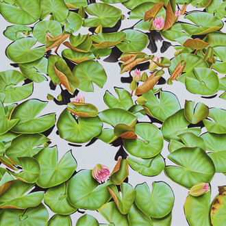 Frank DePietro, Water lilies number sixty-two (detail), 2022. Courtesy of Carrie Haddad Gallery 