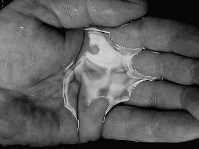 Oscar Muñoz, Línea del destino [Line of Destiny], 2006, Single-channel video 4:3, black and white, no sound, 1 min 54 s, Courtesy of the artist