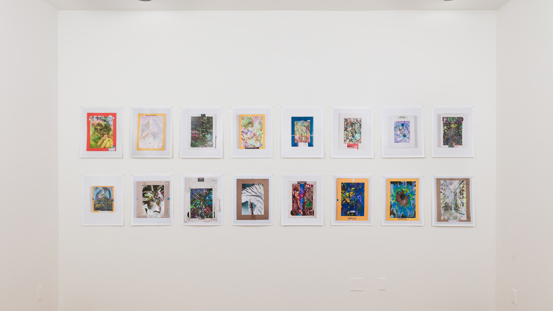 Exhibition View, Garden Pictures, Matthew Brandt and Christine Nguyen, 2023. Courtesy of the artist and David B. Smith Gallery