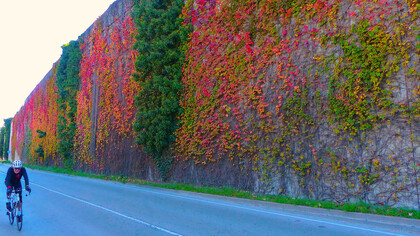 Muro en el camino de Can Aymerich, Castelldefels, Barcelona, España. Foto: Felipe Sérvulo