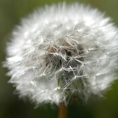 L’elaborazione profonda li rende particolarmente empatici, intuitivi e attenti ai dettagli del contesto sociale