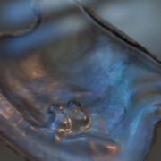 Fritzia Irízar. Courtesy of MUAC