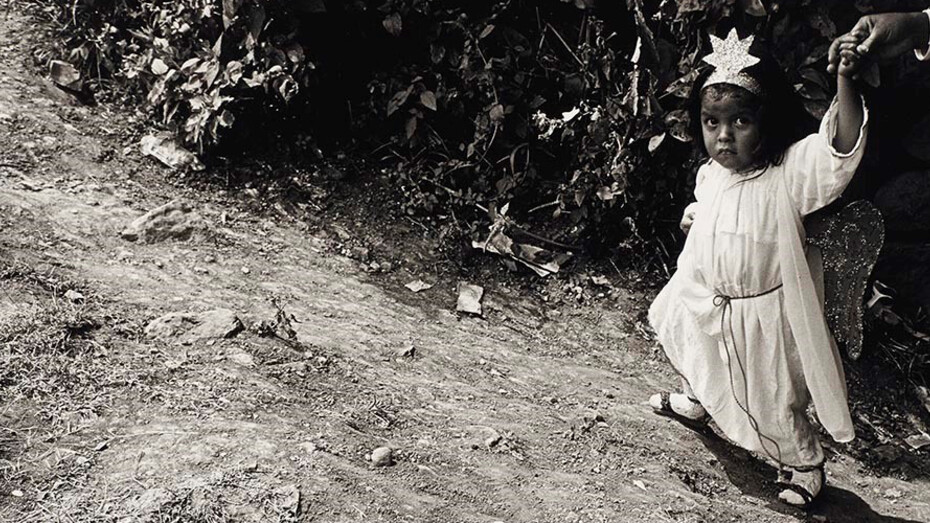 40 Years of Discovery. Courtesy of The Museum of Fine Arts