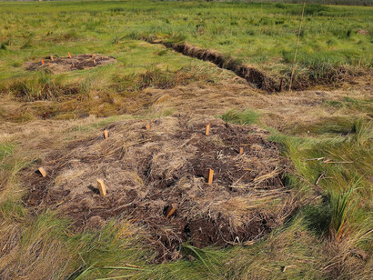 Flux and flow: the great Marsh, messages from the Marsh, part 9. Courtesy of Kingston Gallery