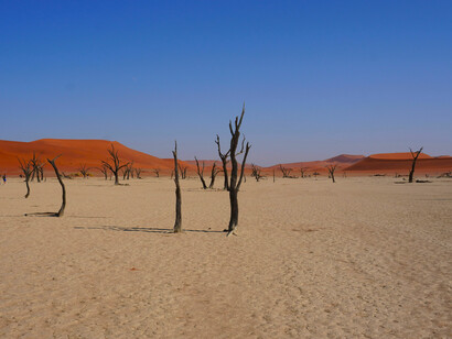 “Water bankruptcy” is used to describe a situation where a region, city, or country has effectively run out of usable water