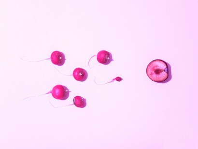 ¿La identidad se forma partir del órgano y la biología o es algo cultural?