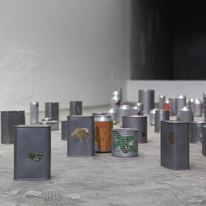 Tonico Lemos Auad, Small Fires, 2015