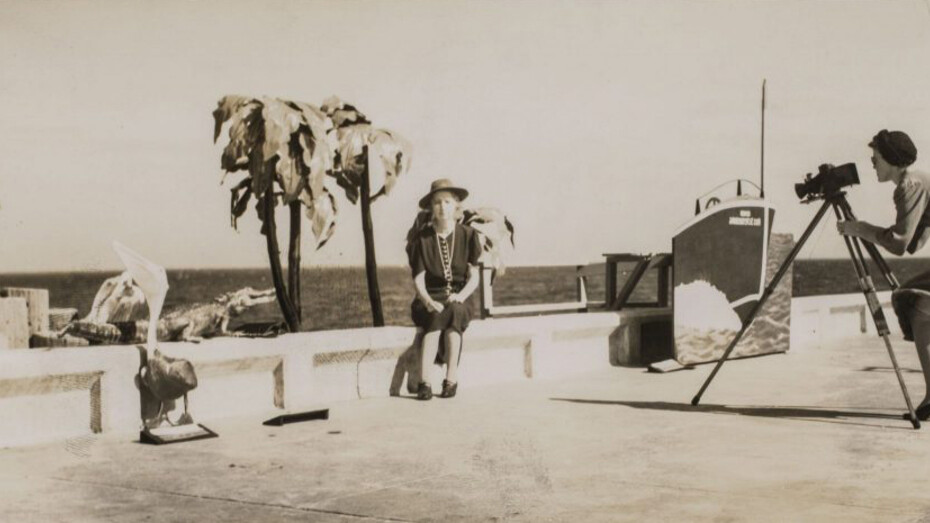 You Are Here. Courtesy of NOMA