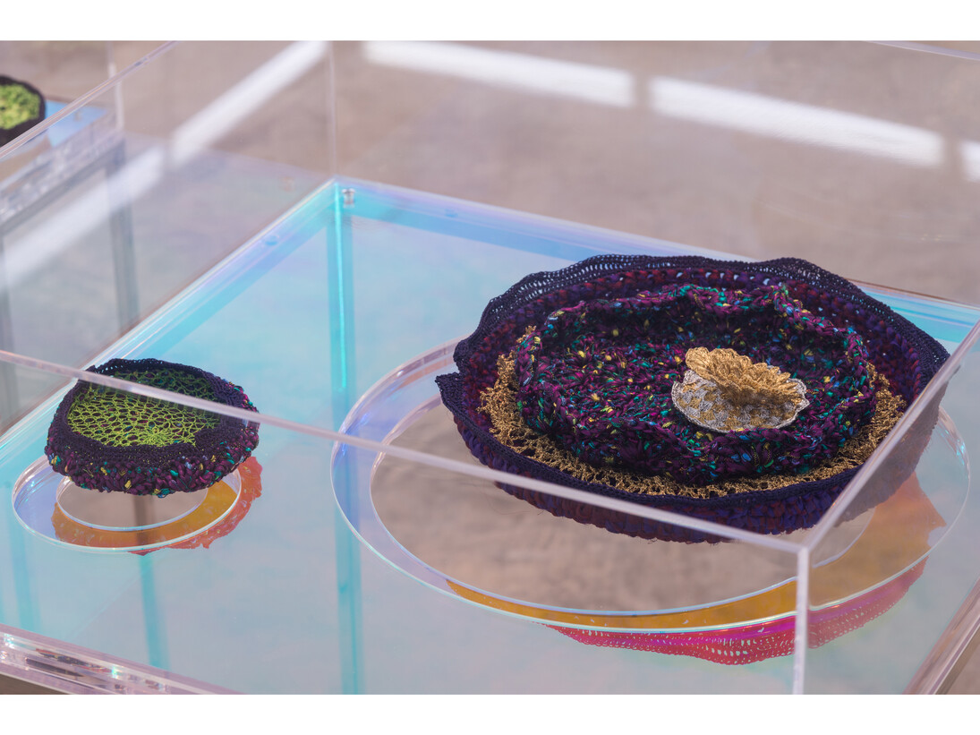 Ana Maria Tavares: Euryale Amazonica, Sicardi Gallery installation view, October 30 - December 20, 2014. Photography by Logan Sebastian Beck.