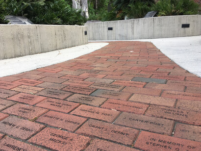 Fossil Plant Garden. Courtesy of Florida Museum of Natural History