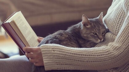Le fusa, questo strano “brontolio”, simile a una specie di mantra dall’effetto ipnotico