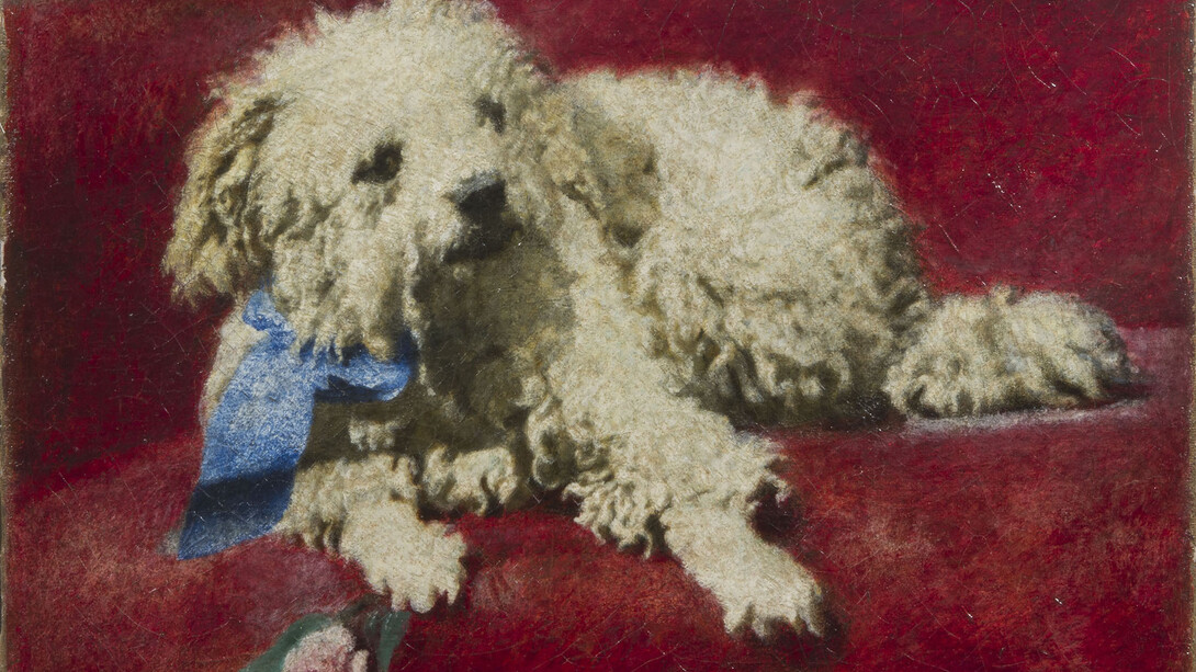 Daniele Ranzoni, Barboncino bianco, 1878-79, olio su tela 37 x 44 cm. Courtesy of Gallerie Maspes