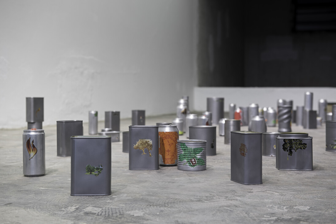 Tonico Lemos Auad, Small Fires, 2015