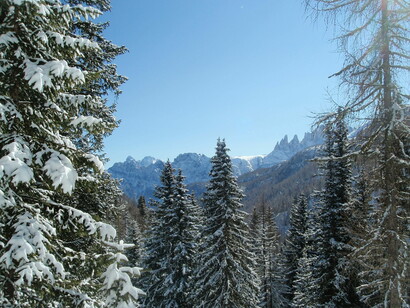 Boschi innevati delle Dolomiti