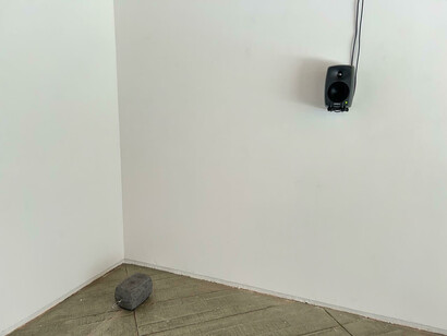 Diogo Alvim, Solo, vista da exposição. Cortesão da Galeria Diferença